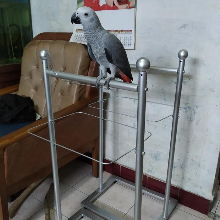 READY Tangkringan / Pangkringan burung kakatua,bayan,nuri