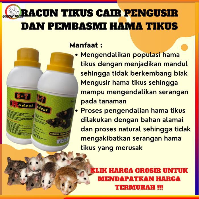 RACUN TIKUS CAIR PEMBASMI TIKUS SAWAH HAMA SAWAH AMPUH MENGUSIR DAN MENGENDALIKAN HAMA TIKUS