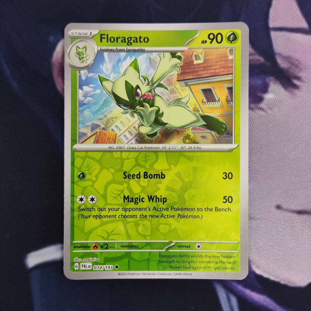 pokemon (EN) floragato - PAL 014/193 - Uncommon
