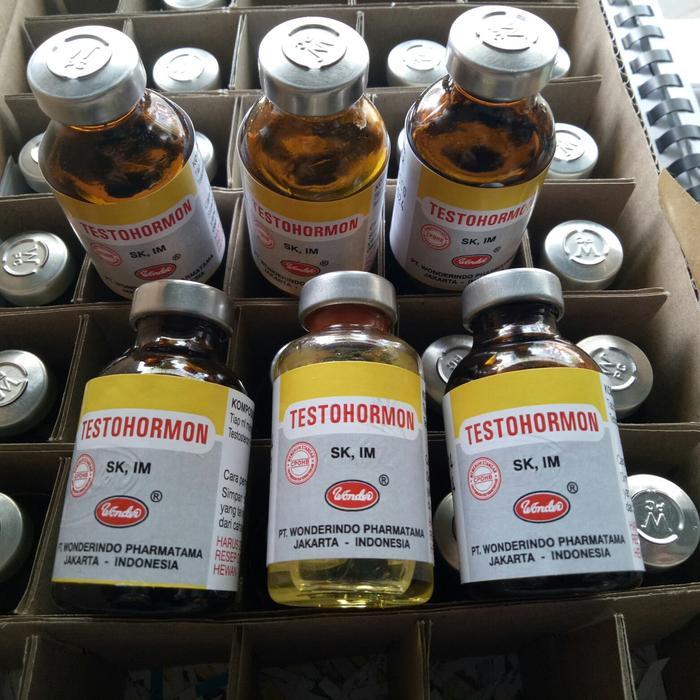 Testohormon 5 Ml, 10 Ml, 20 Ml Obat Suntik
