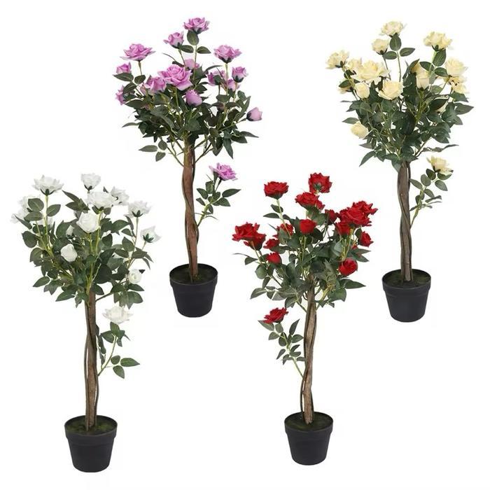 TERLARIS Tree Rose Mini Hidup Mar Batang Tinggi Mini Bunga Cantik Siap Tanam