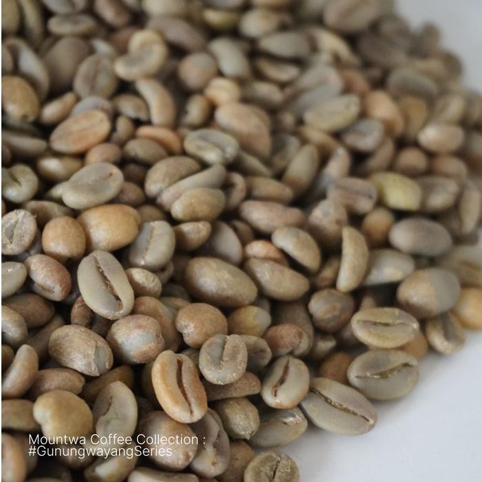 

PROMO !! Green Bean Arabika Hydro Anaerobic Natural Gunung Wayang/Biji Kopi Mentah 1kg