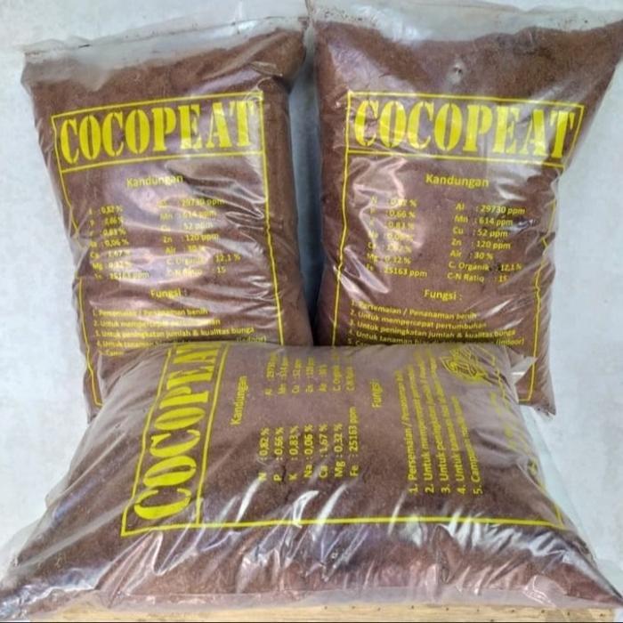 media cocopit