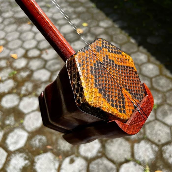Fullset Erhu Violin Chinesse Biola Erhu