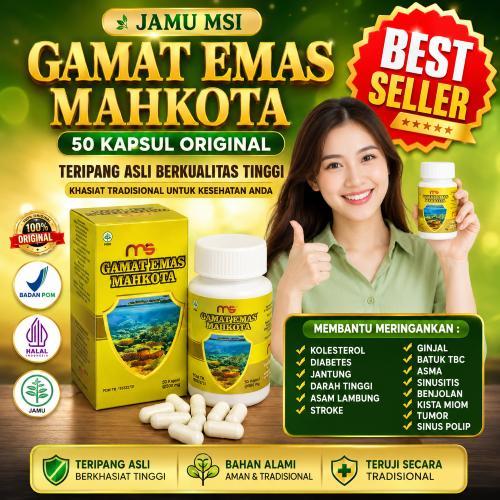 Jamu Msi Gamat Emas Mahkota 50 Kapsul Original Bpom Halal Teripang Asli Obat Ampuh Kolesterol