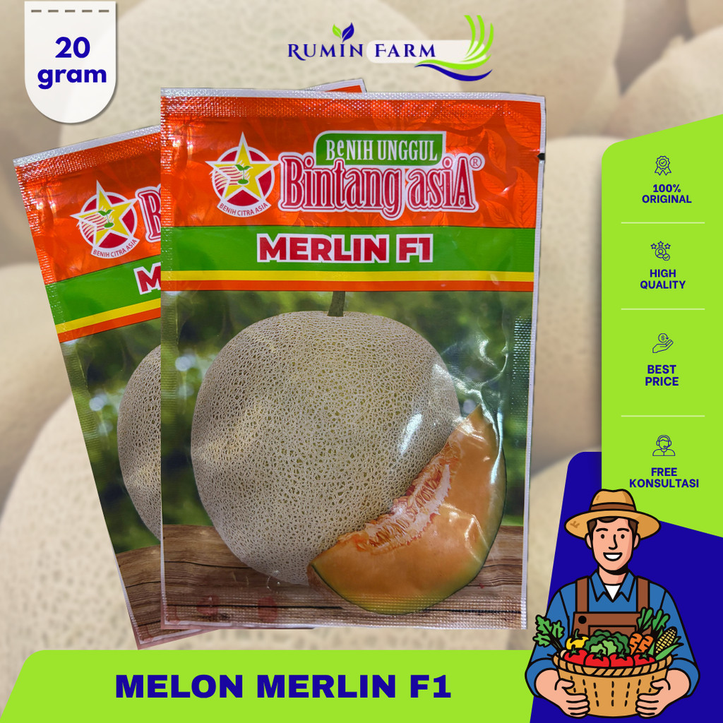 Benih Melon Merlin  Cap Bintang Asia