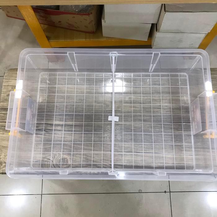 Kandang Kontainer Sekat 4 Gecko Skink Pacman Frog Snake Sulcata Istar