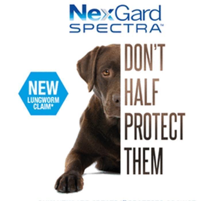 Nexgard Dog Obat Kutu Anjing Nexgard Dog Obat Demodex Anjing Gercep