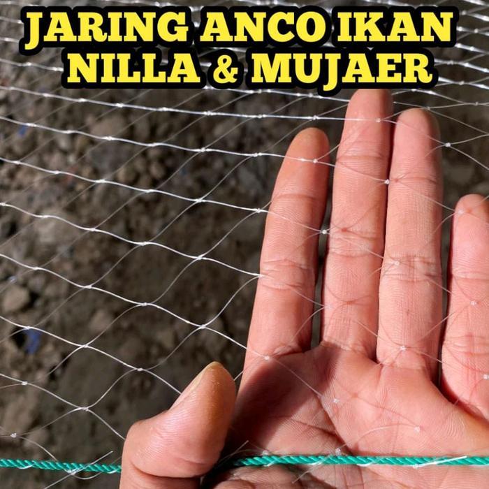READY Jaring Anco 3x3 Meter Lubang 2 Inchi Senar 0,30 Jaring Tangkul Ikan Nilla Mampu Mengangkat
