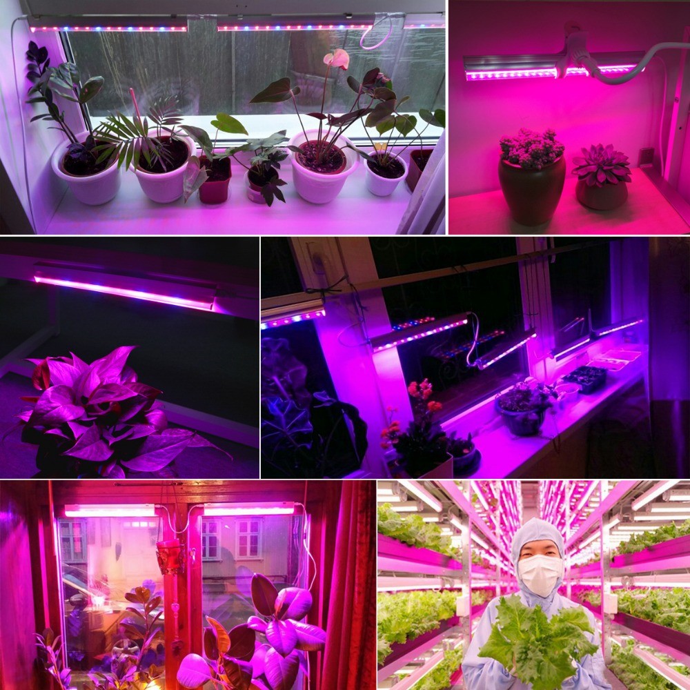 29m 110V 220V Full Spetrum Led Grow Light T5 Tube LED Phyto Lamps Grow LED Lamp Bar Light Hydroponi