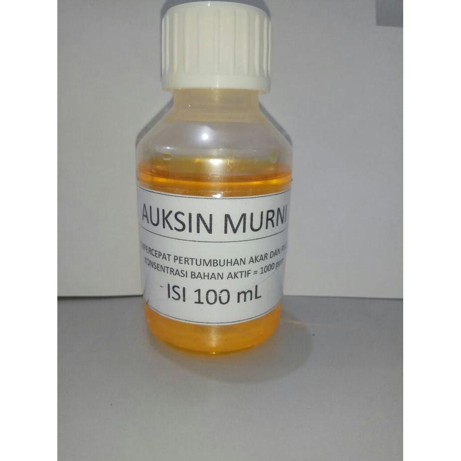 HORMON TANAMAN AUKSIN