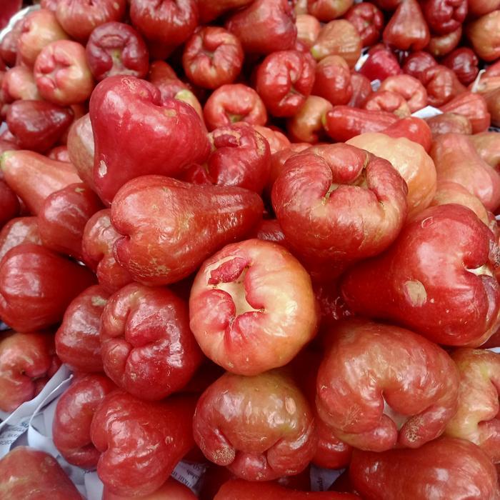 READY Buah Jambu Citra 1Kg - Buah Segar dan Lezat untuk Camilan Sehat