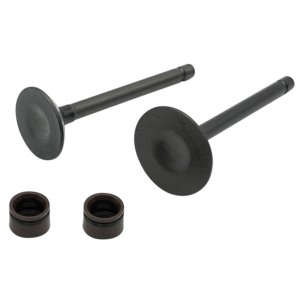 CYLINDER HEAD INTAKE EXHAUST VALVE COMPATIBLE FOR YAMAHA TTR 125 TTR125 TTR125L TTR125E TTR125LE