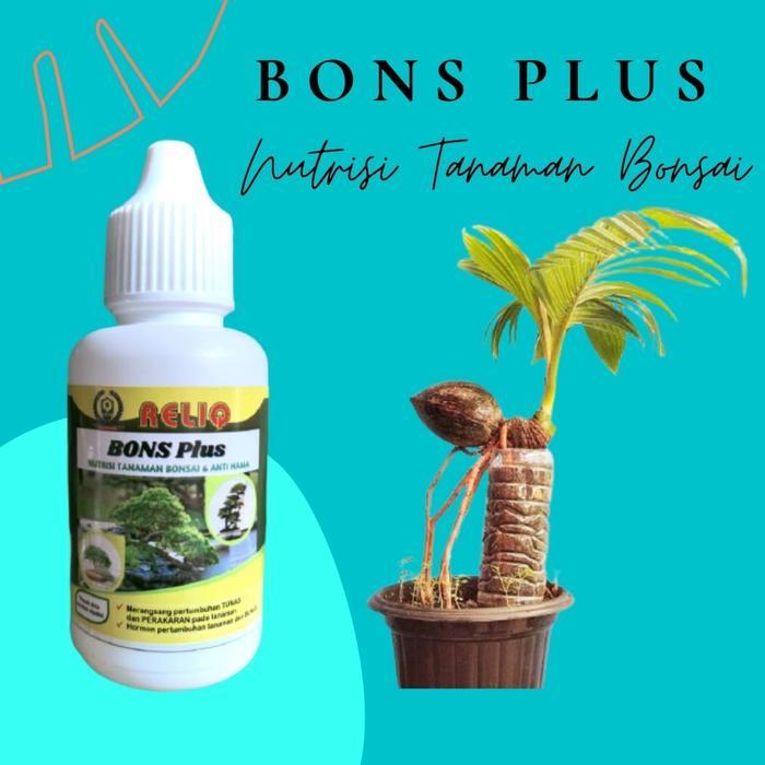Pupuk Tanaman Bonsai Kelapa - BONS PLUS - Pupuk Bonsai Cair