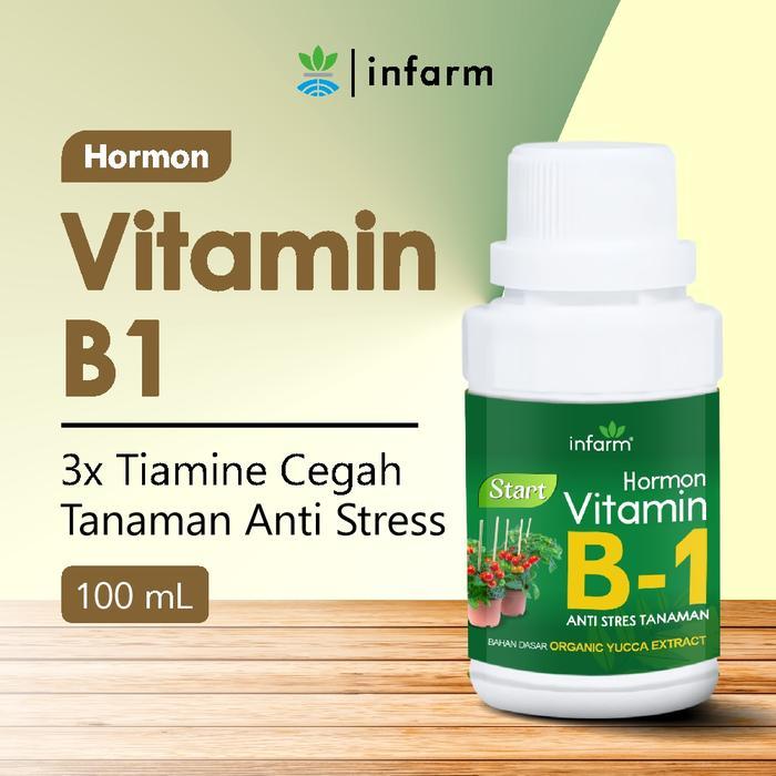 TERBATAS INFARM - Vitamin B1 Premium Nutrisi Tanaman Anti Stress Kualitas Impor Vitamin B1 Cegah