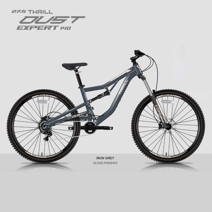 SEPEDA GUNUNG DOWNHILL MTB THRILL OUST T140 EXPERT - Gray, 17/L