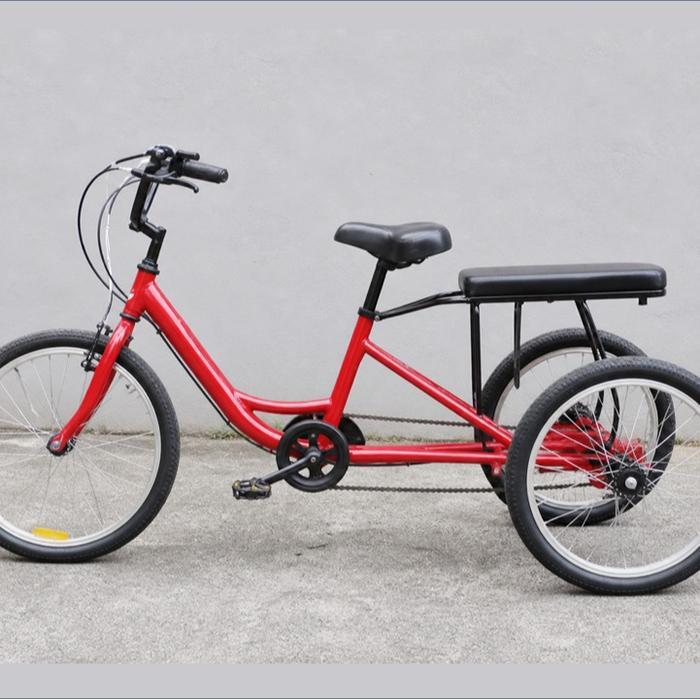Sepeda Roda Tiga Dewasa Terapi Fisik - Therapeutic Tricycle - Sepeda Roda Tiga Dewasa Usia Lanjut