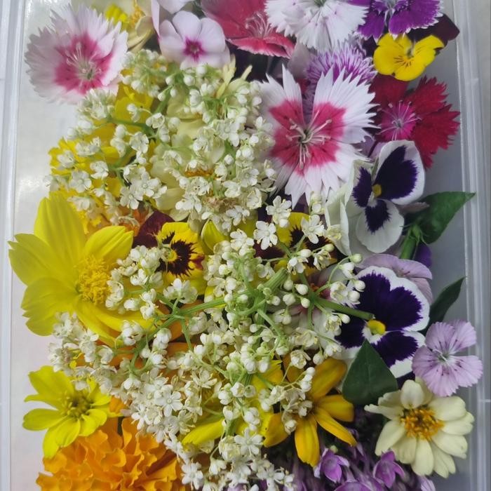 0tb6 Mix Edible Flower 100 Pcs
