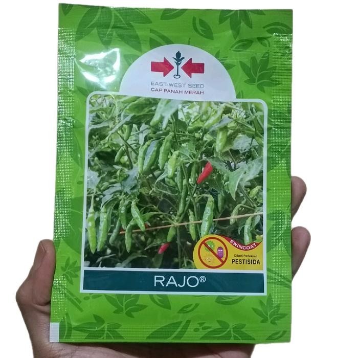 BENIH CABAI RAJO RAWIT HIJAU ISI 2250 BIJI Merah