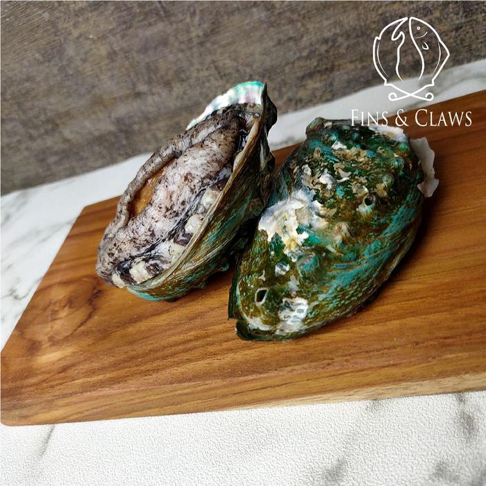 Frozen Japanese Ezo Abalone - Ezo Awabi - Sashimi Grade 100g