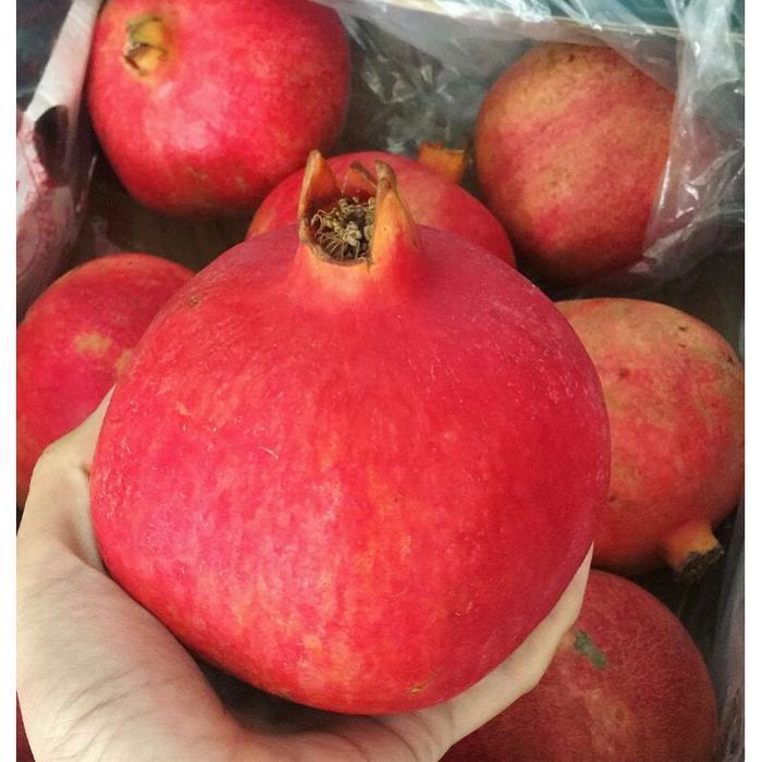 Buah Delima Mesir Fresh 1pcs