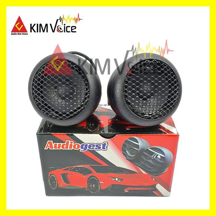 Speaker Fullrange Audiogest 2 Inch Fullrange Celavin Design