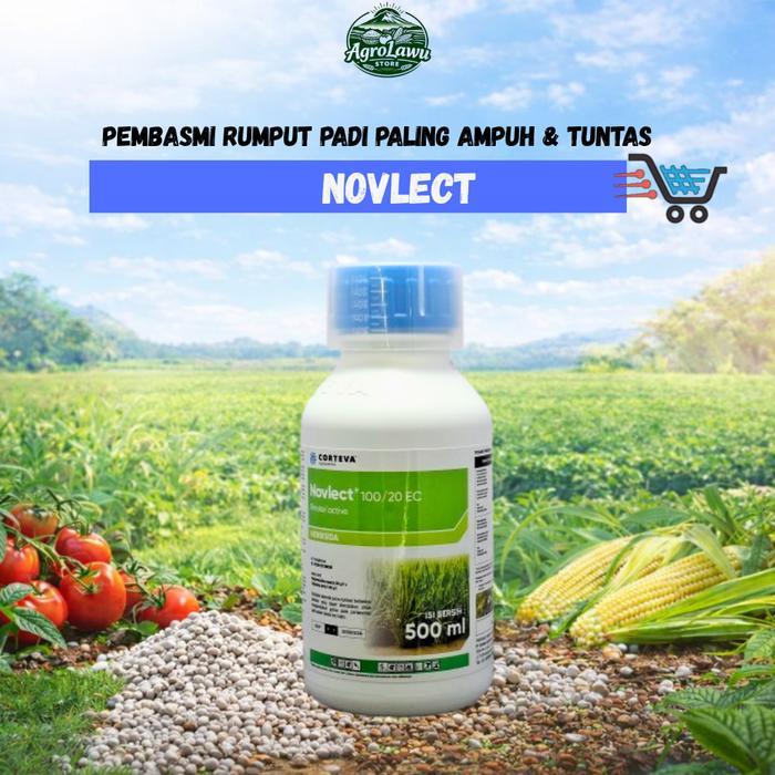 NOVLECT - Obat Rumput Padi Paling Ampuh & Anti Stres