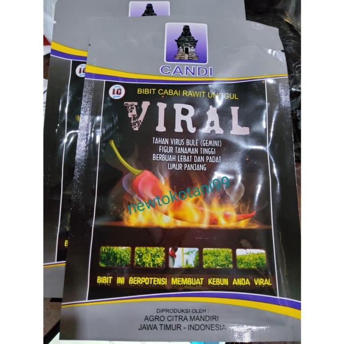 NEW Benih cabe rawit VIRAL 10 gram benih cabai rawit unggul cap candi cabai rawit pedas