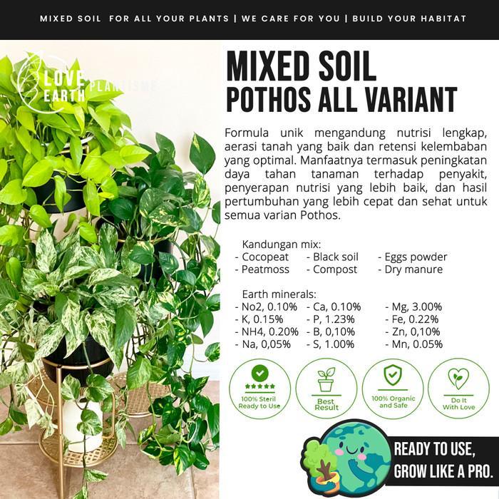 Mixed Soil Potara Pothos All Variant Media Tanam Semua Jenis Sirih Gading Subur Porous Nutrisi