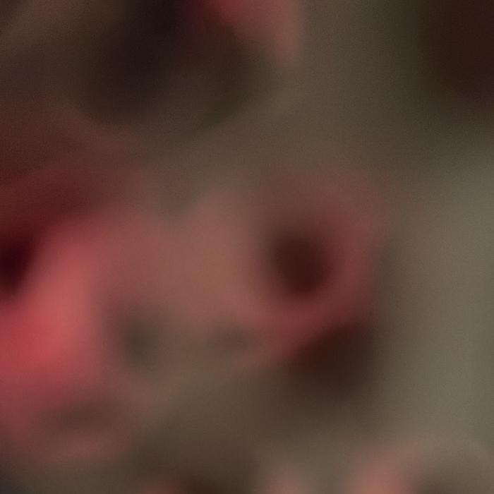 Terlaris Bakindo Botol Minum Tumbler 1.2 Liter Bebas Bpa Bisa Tahan Panas Dan Tahan Dingin Hingga