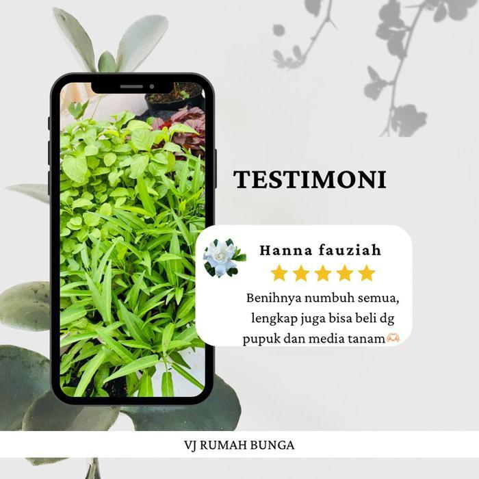 Benih Sayuran Unggul Ratusan Benih Bibit Sayuran