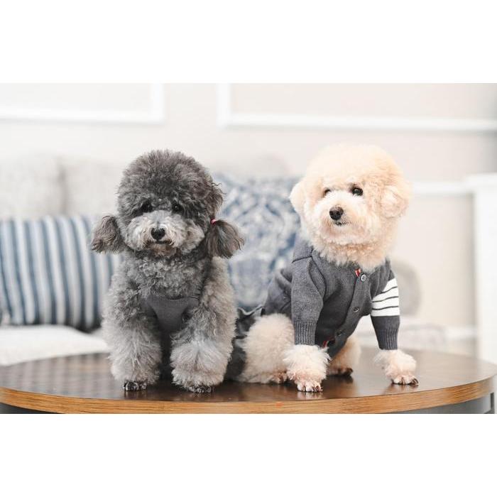 Bark Fifth Avenue Thom Browne Sweater