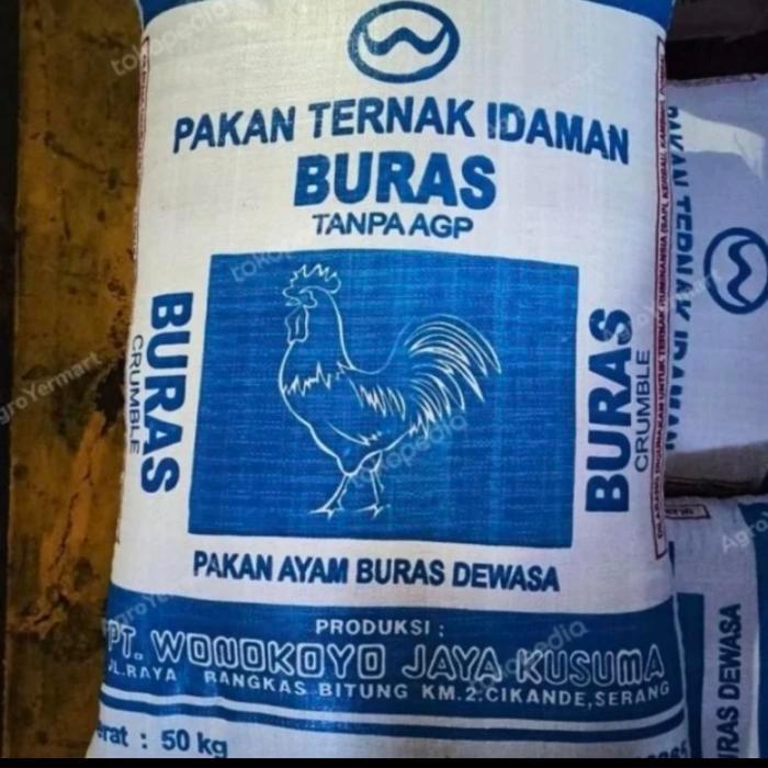 Pakan ayam buras dewasa - Pakan ayam buras dewasa 3kg