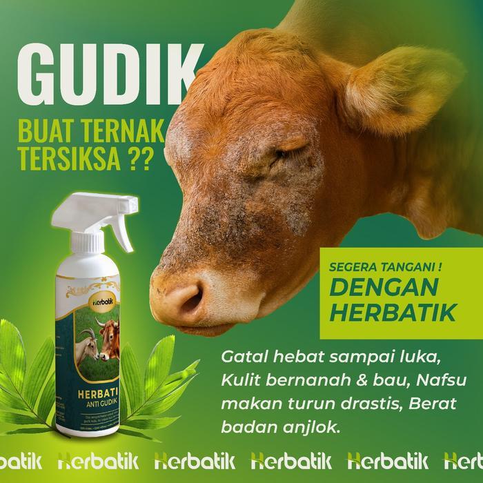 TERLARIS Herbatik Anti Gudik Obat Herbal Alami untuk Sapi & Kambing dari Gatal, Kudis, Gudik, Kurap,
