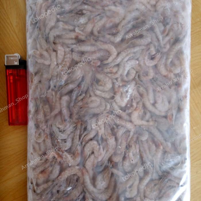 Udang Api Beku / Udang Api / Udang Beku Pakan Ikan Predator Terlaris