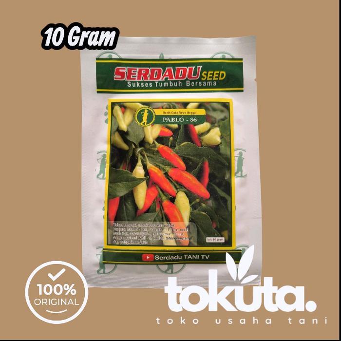READY PABLO 86 PABLO86 10 Gram Benih Cabe Rawit Tahan Pathek/Antraknosa Serdadu Seed