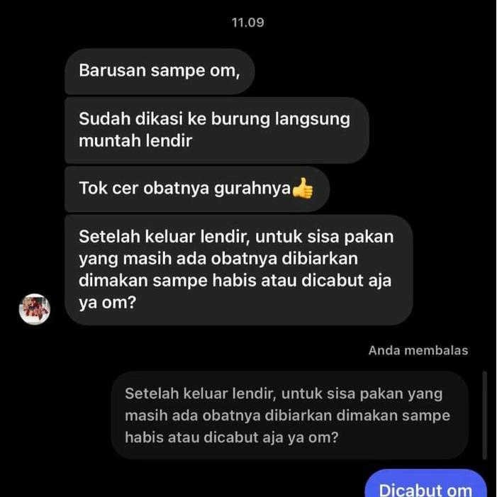 READY Tt Plus Gurah Burung Orinal Gurah Semua Burung