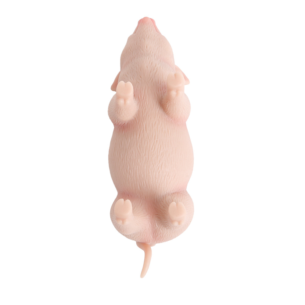 IVITA 14CM 100% Full Silicone Reborn Pig Doll with Eyes Soft Silicone Realistic Art Mini Piglet Toy