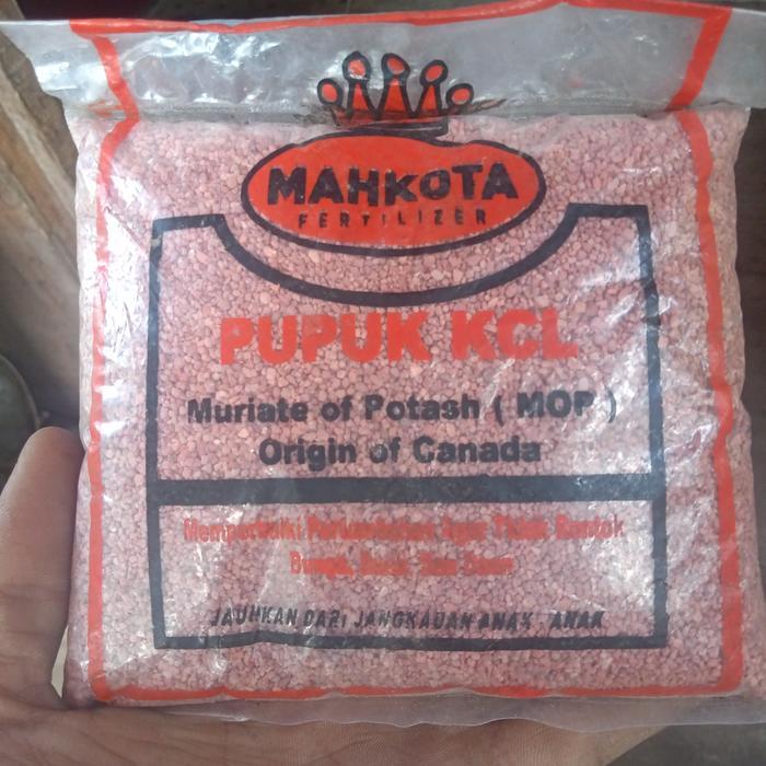 pupuk kcl mahkota/pupuk buah anti rontok
