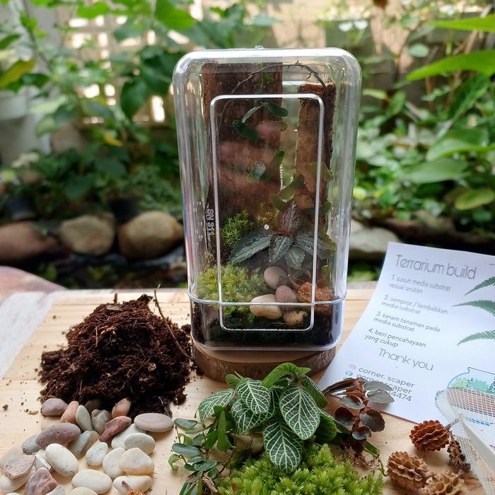 Viva - Mini Terrarium Kit Kandang Jumping Spider
