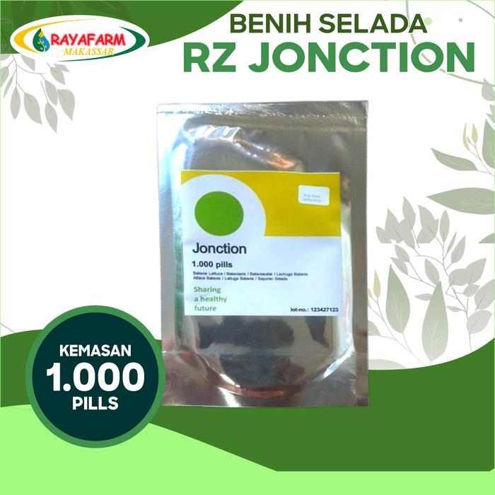 Benih Bibit selada junction @ 1000 pill - RZ