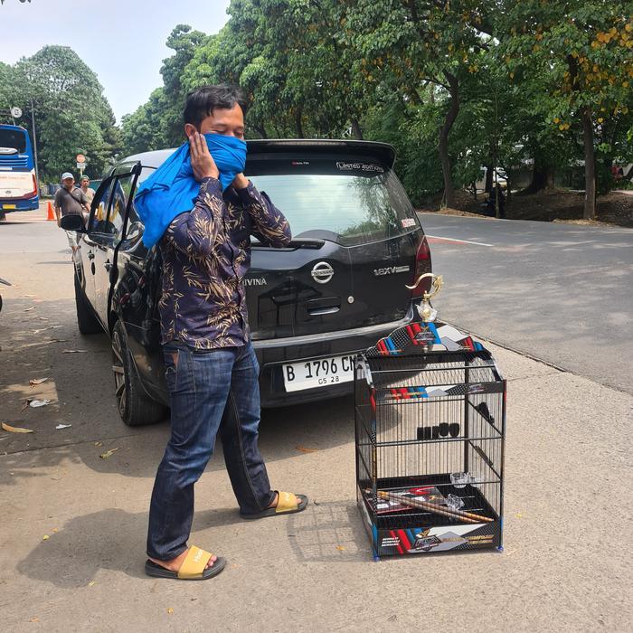 Kotak Radja Exlusive Kipasan Original