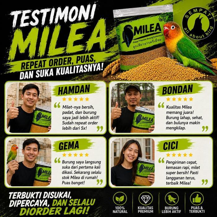 Sempati Milet Putih Pakan Burung Lovebird