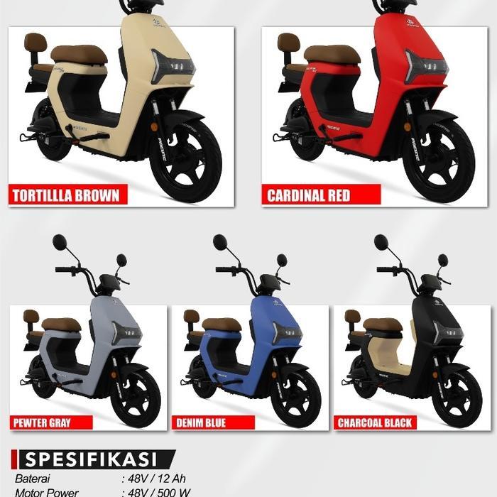 Sepeda listrik Pasific zeckrom 300