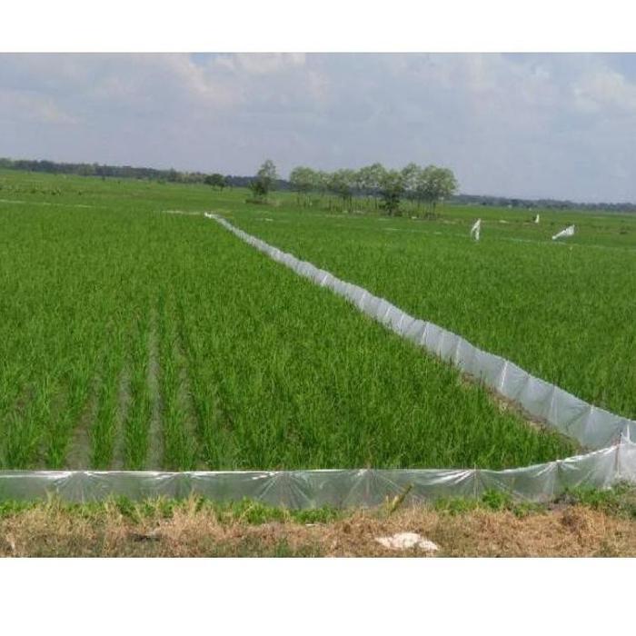Plastik Bening Cor Besar dua lapis roll / Plastik Cor Bening TEBAL 03/ Plastik green house