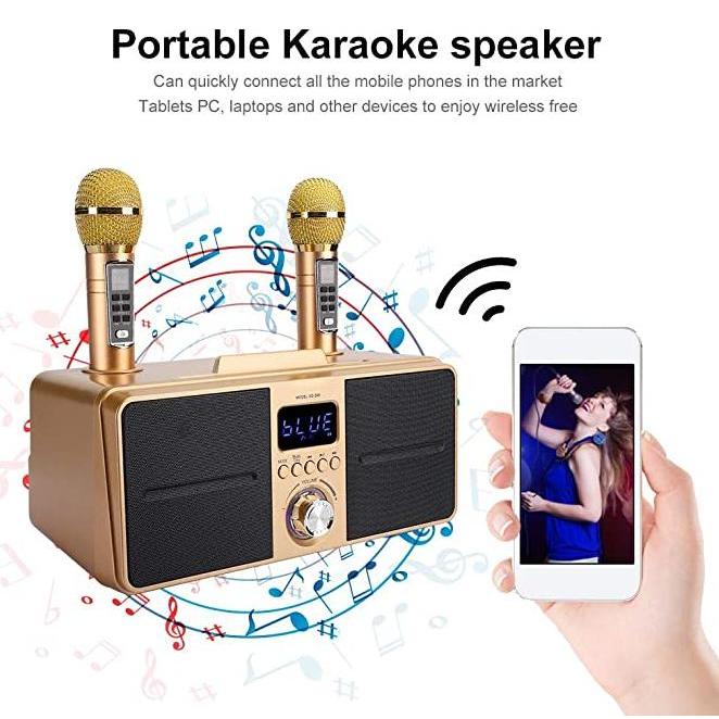 Sdrd Sd 309 Mic Karaoke Wireless Speaker Bluetooth Portable Dua Mic