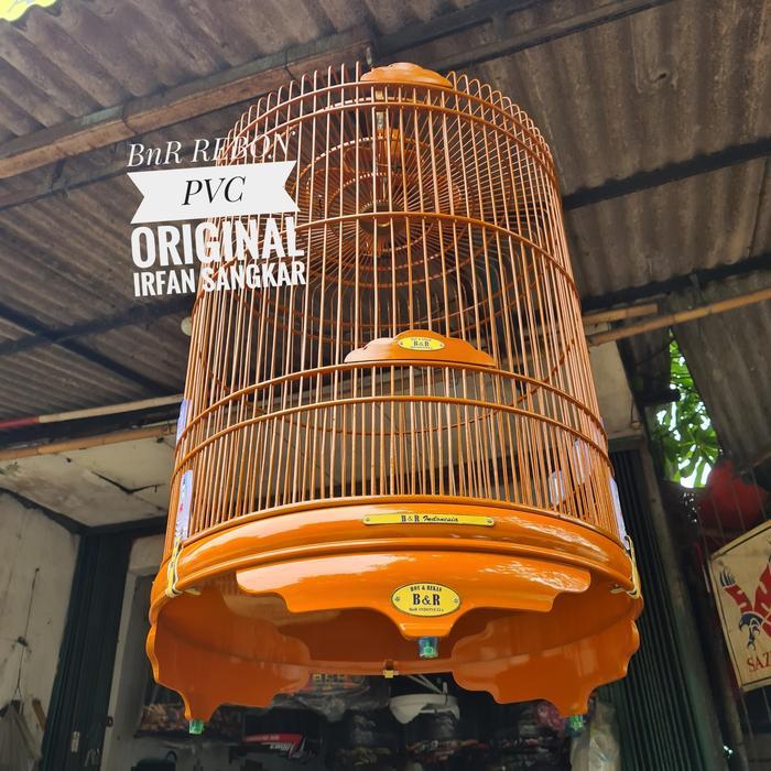 Murai Bnr Pvc Natural Original Sangkar Resmi Prescup 2020