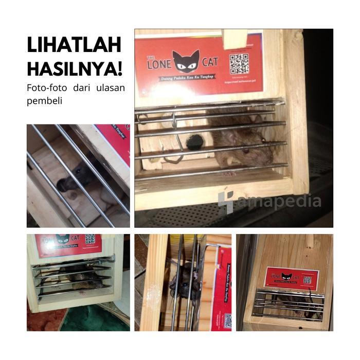 READY Perangkap Tikus Besar Ukuran Jumbo / Jebakan Tikus Got Perangkap Tikus Super Ampuh