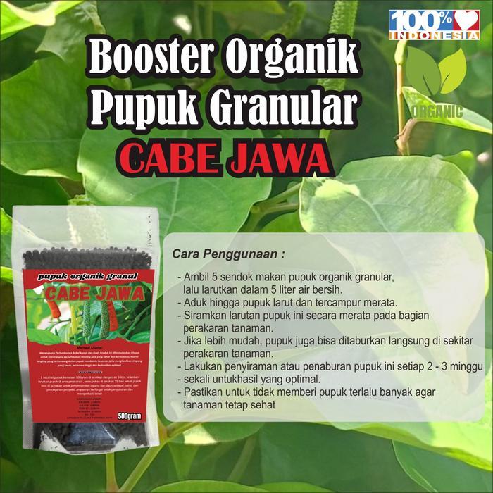 Budi_Berbudi Pupuk Organik Cabe Jamu Bunga Buah Cabe Jawa Pohon Cabe Jamu Lebih Subur Berbuah Lebat