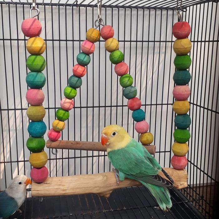 Mainan bermain burung / ayunan burung